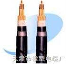 RVZ與RVZ電力電纜 規(guī)格、特點(diǎn)與應(yīng)用全解析