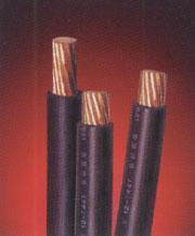 沈陽(yáng)市電線(xiàn)電纜行業(yè)發(fā)展現(xiàn)狀與主要廠(chǎng)家概覽